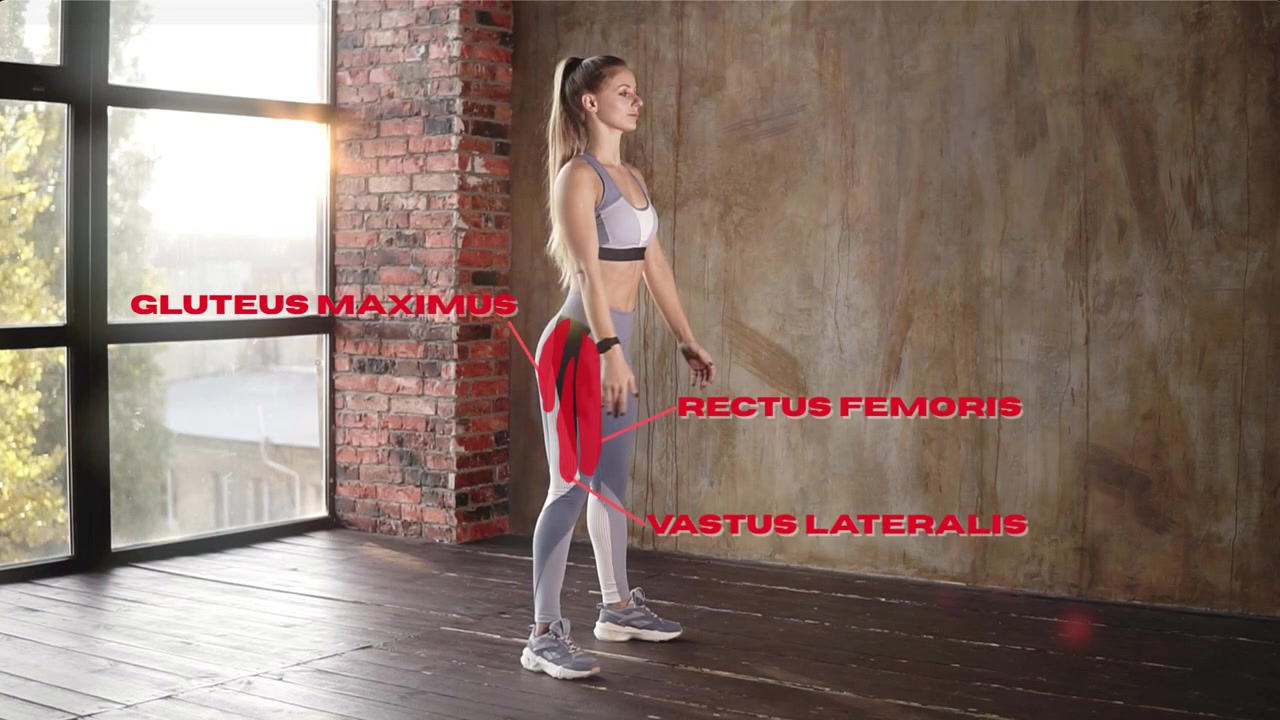 Body highlight cue — anatomical muscle labels overlaid on the body